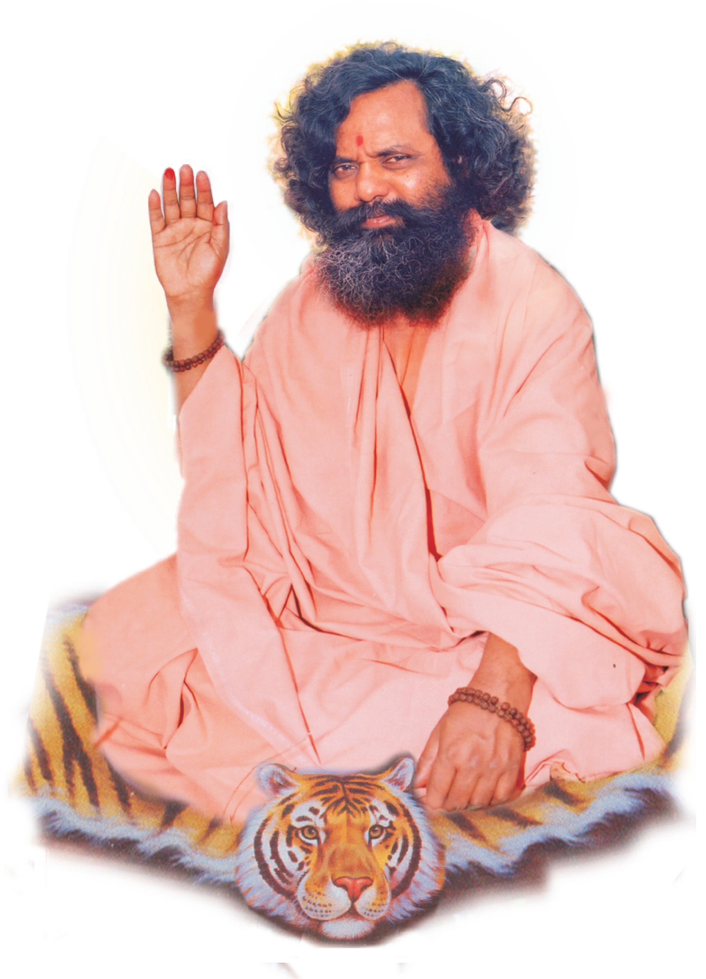 श्री श्री १००८ महामंडलेश्वर स्वामी परमानंदगिरीजी महाराज
