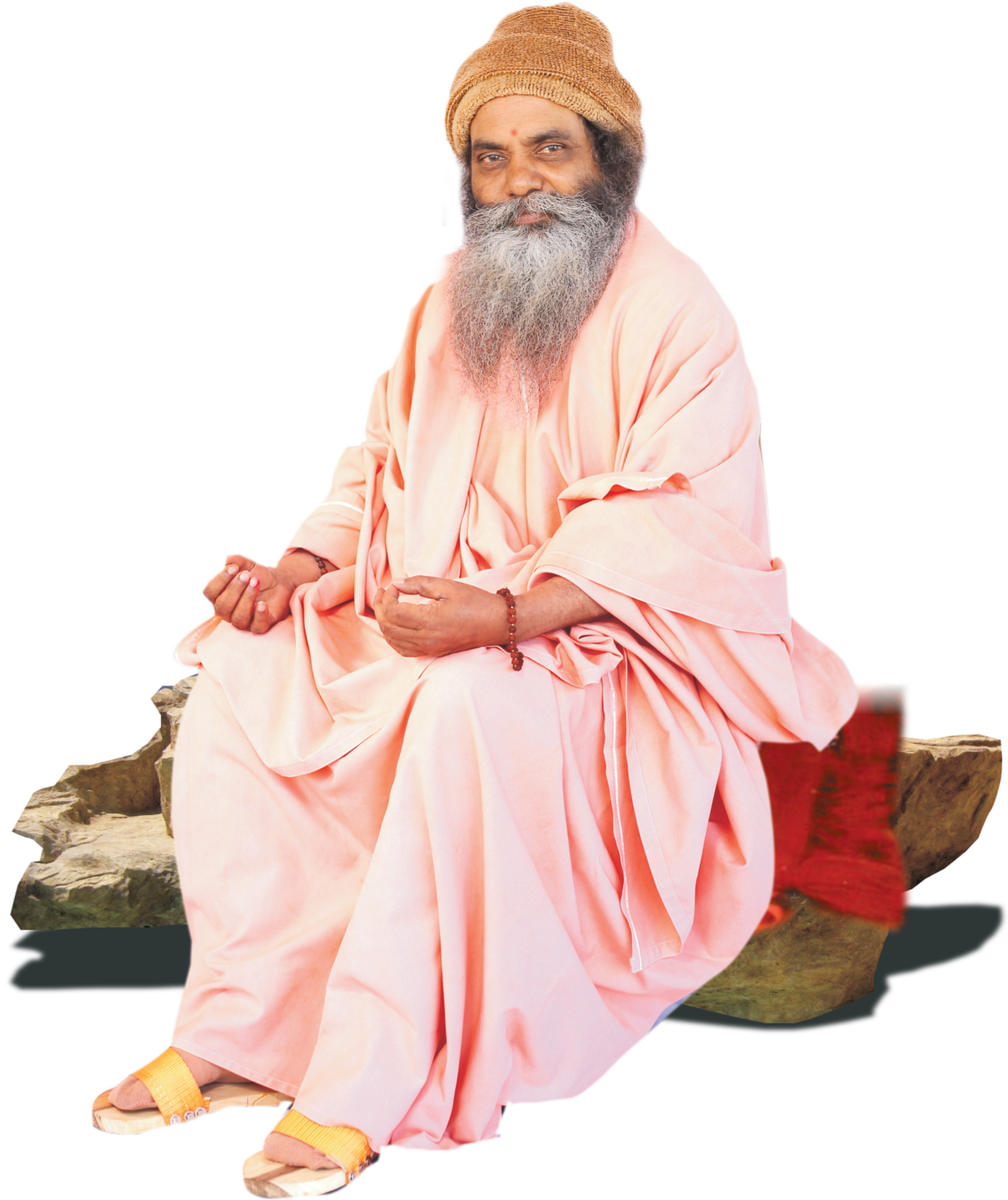 श्री श्री १००८ महामंडलेश्वर स्वामी परमानंदगिरीजी महाराज