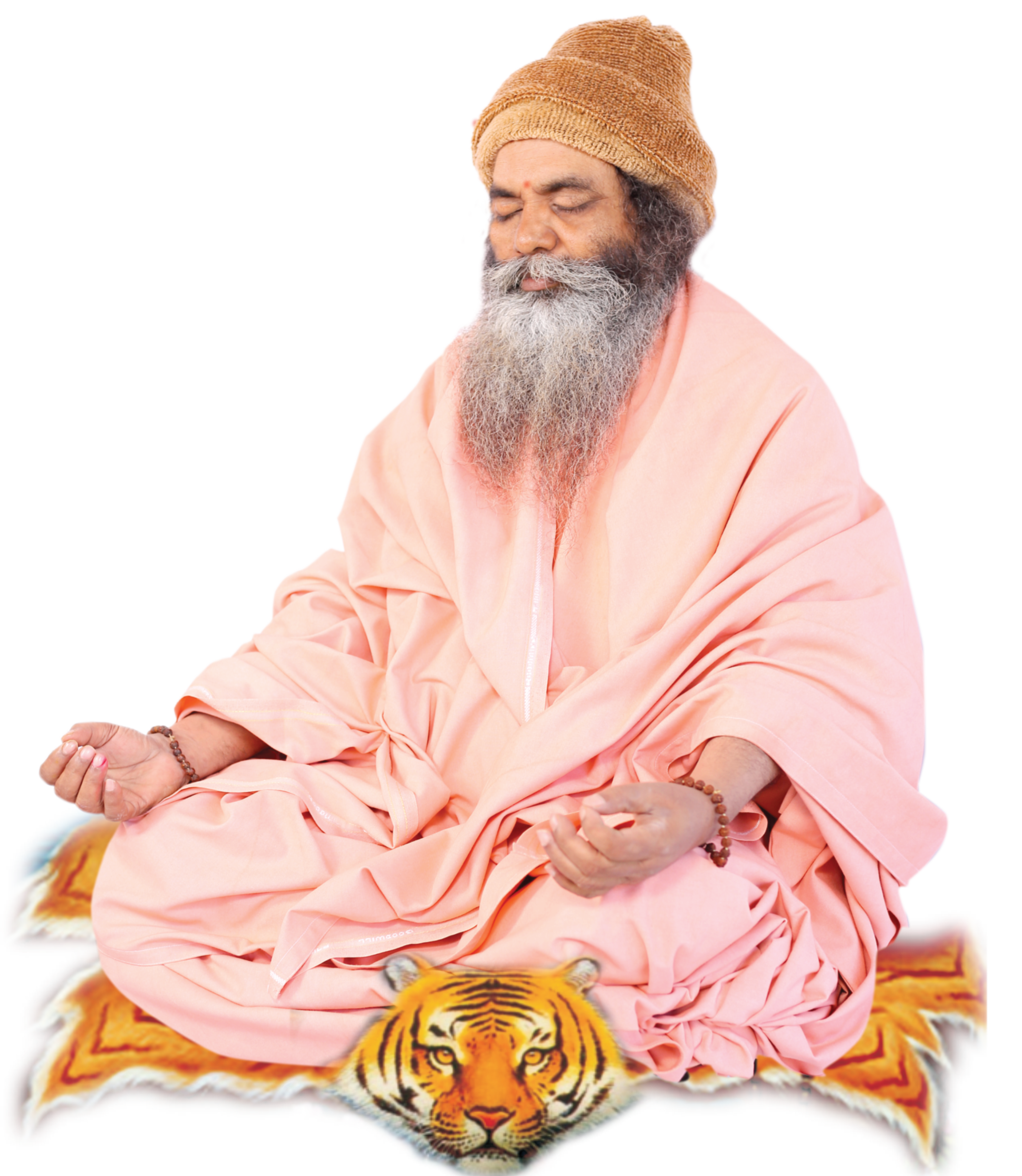 श्री श्री १००८ महामंडलेश्वर स्वामी परमानंदगिरीजी महाराज