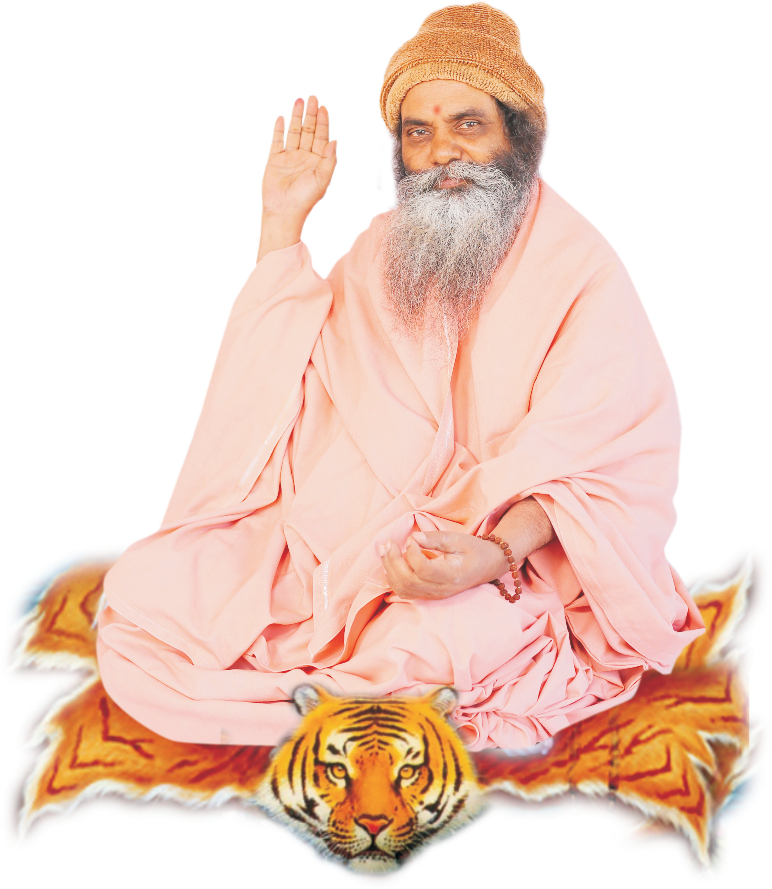 श्री श्री १००८ महामंडलेश्वर स्वामी परमानंदगिरीजी महाराज