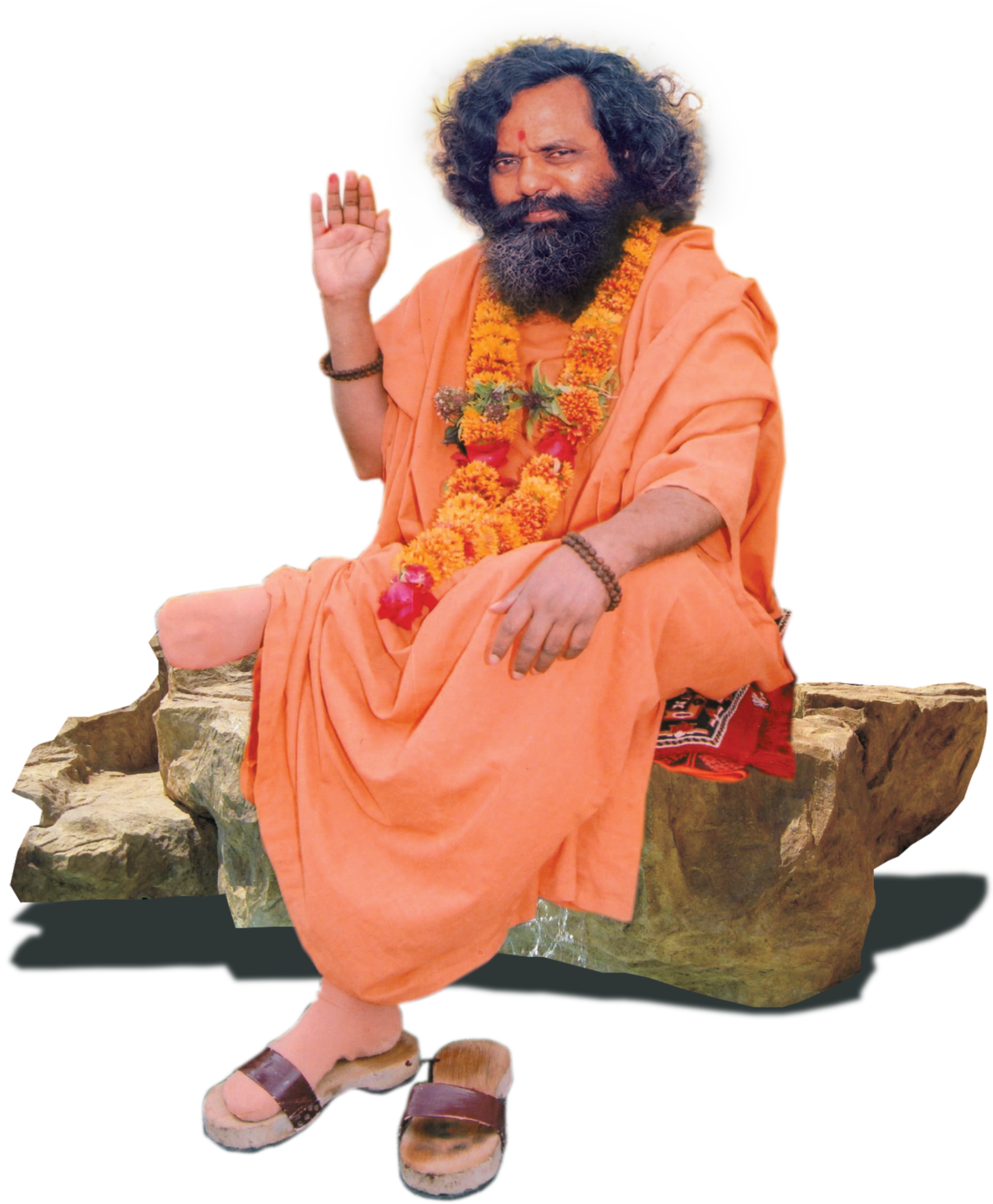 श्री श्री १००८ महामंडलेश्वर स्वामी परमानंदगिरीजी महाराज